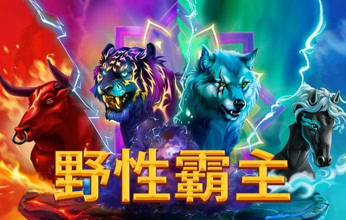 开云手机版